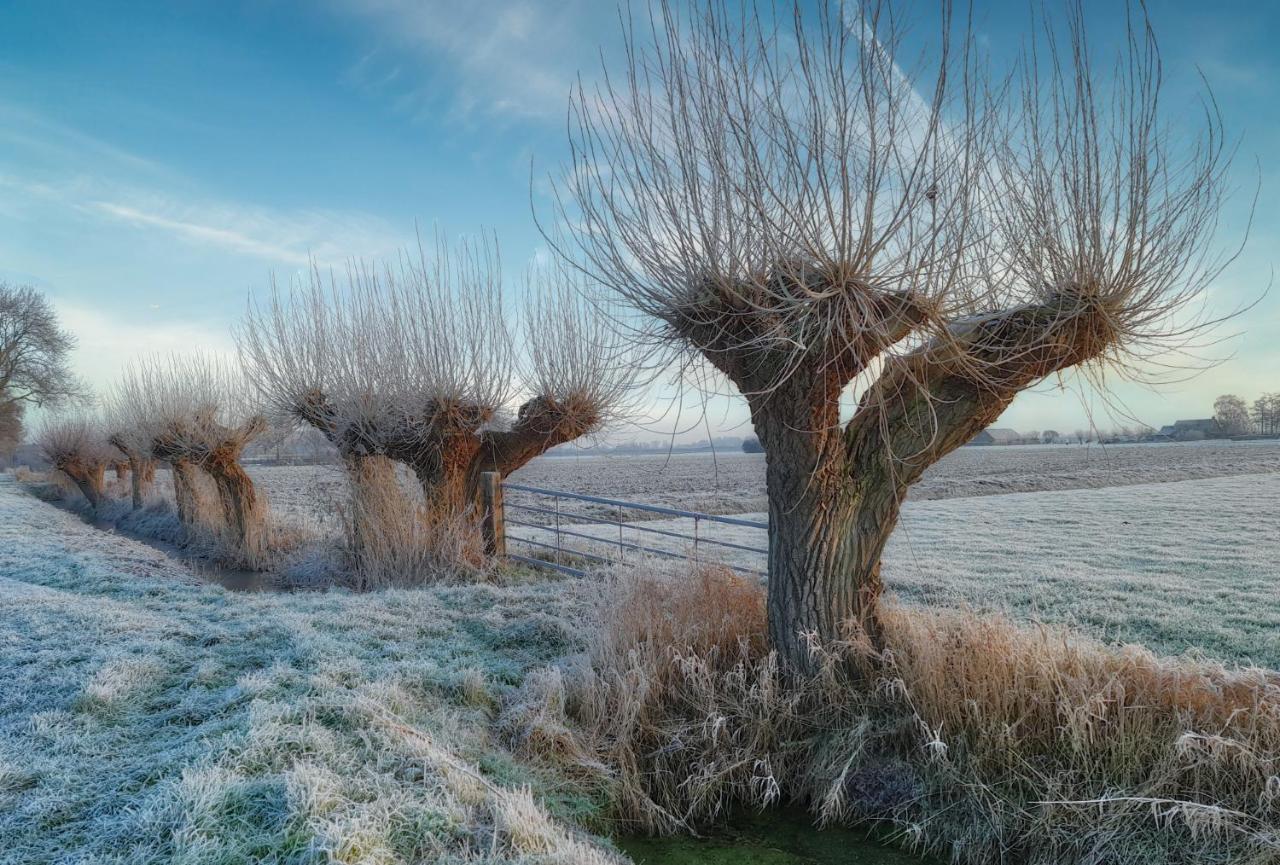 Van Abelshoeve Gieterveen Exteriör bild
